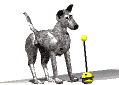 animated dog